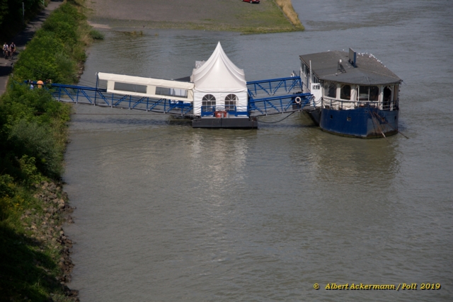Rhein Roxy